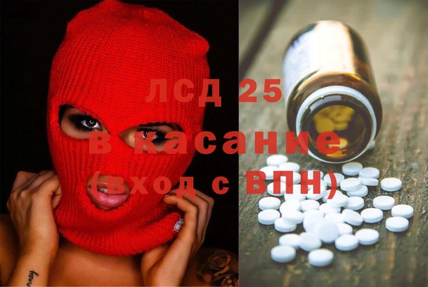 ПСИЛОЦИБИНОВЫЕ ГРИБЫ Кулебаки