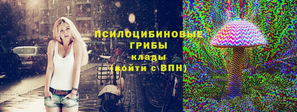 ПСИЛОЦИБИНОВЫЕ ГРИБЫ Кулебаки