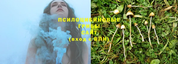 Альфа ПВП Куйбышев