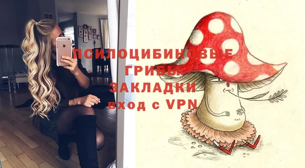 ПСИЛОЦИБИНОВЫЕ ГРИБЫ Кулебаки