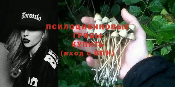Альфа ПВП Куйбышев