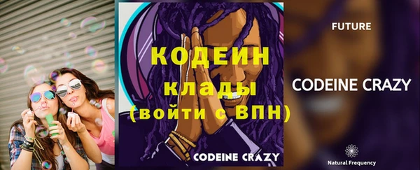 ПСИЛОЦИБИНОВЫЕ ГРИБЫ Кулебаки